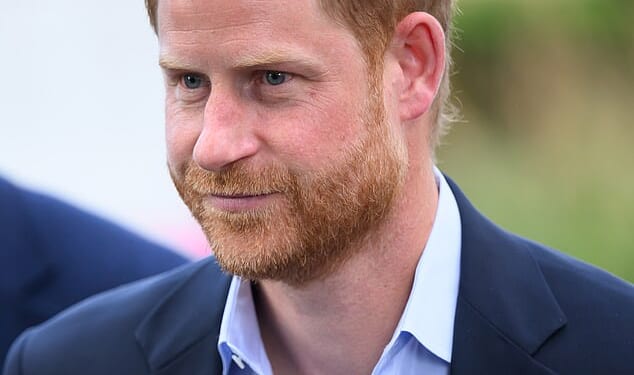 Prince Harry is understood to be 'taken by surprise' by how 'formal' his reunion meeting with his father King Charles was