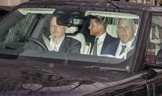 It was claimed Prince Harry was 'taken by surprise' by how 'formal' his reunion meeting with his father King Charles was - the Duke has now denied this