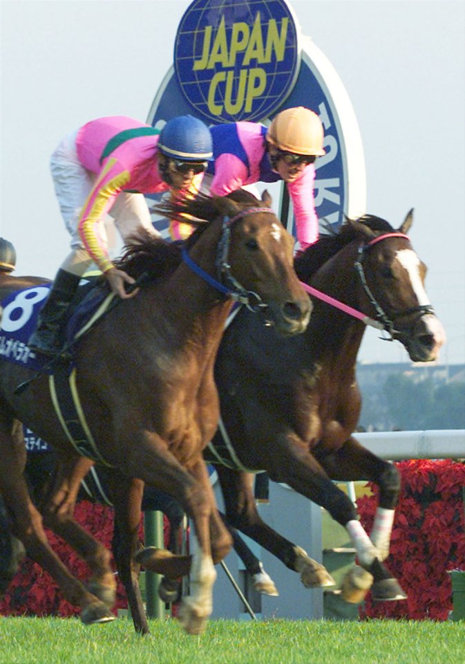 Photo of T.M. Opera O winning the Japan Cup horse race.