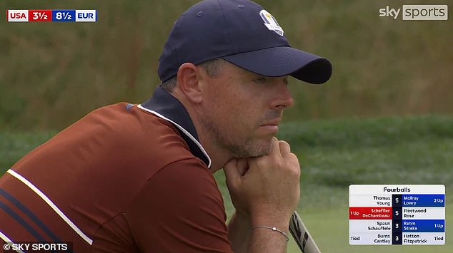 McIlroy refused to play a shot at one stage as the abuse from the crowd became too heavy