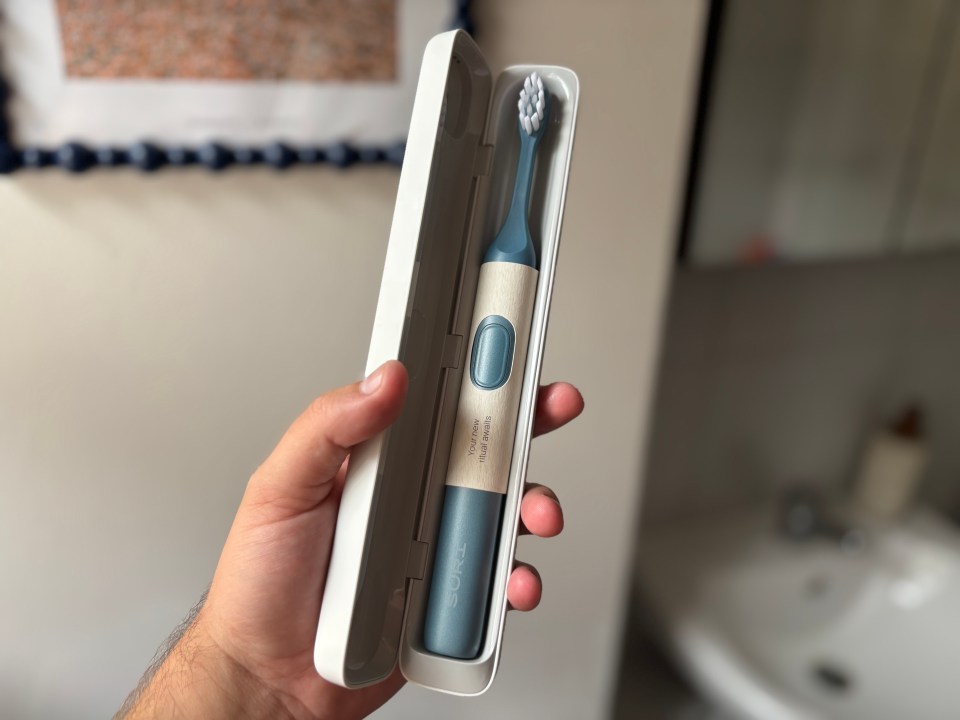 Hand holding an electric toothbrush in its case.