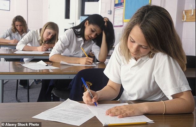 Ministers hope the ban will improve children's performance at school (stock image)