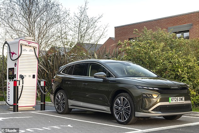 Among the seven EVs to be awarded eligibility to the Electric Car Grant includes the Skoda Enyaq SUV