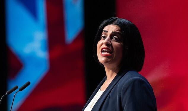 Shabana Mahmood said a national identity card could be used to crack down on 'benefits and all sorts of other things'