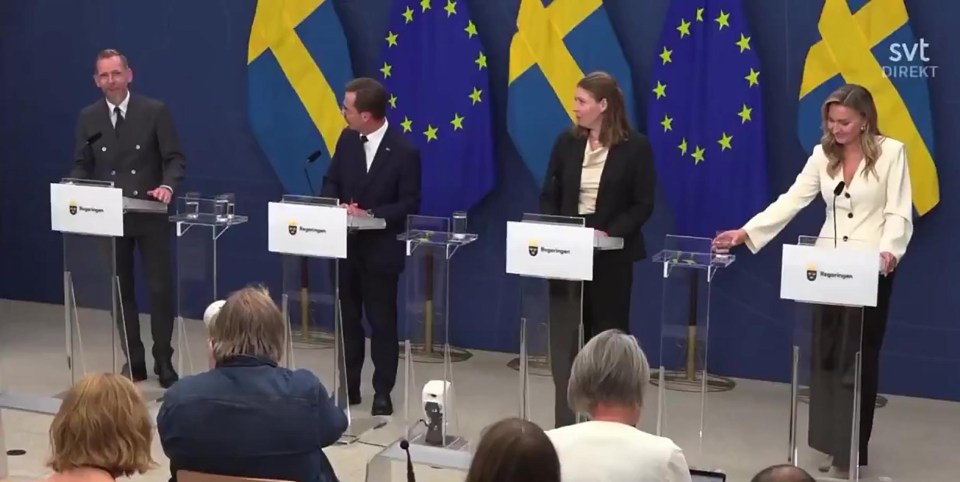 Swedish Health Minister Elisabet Lann collapsing at a press conference.