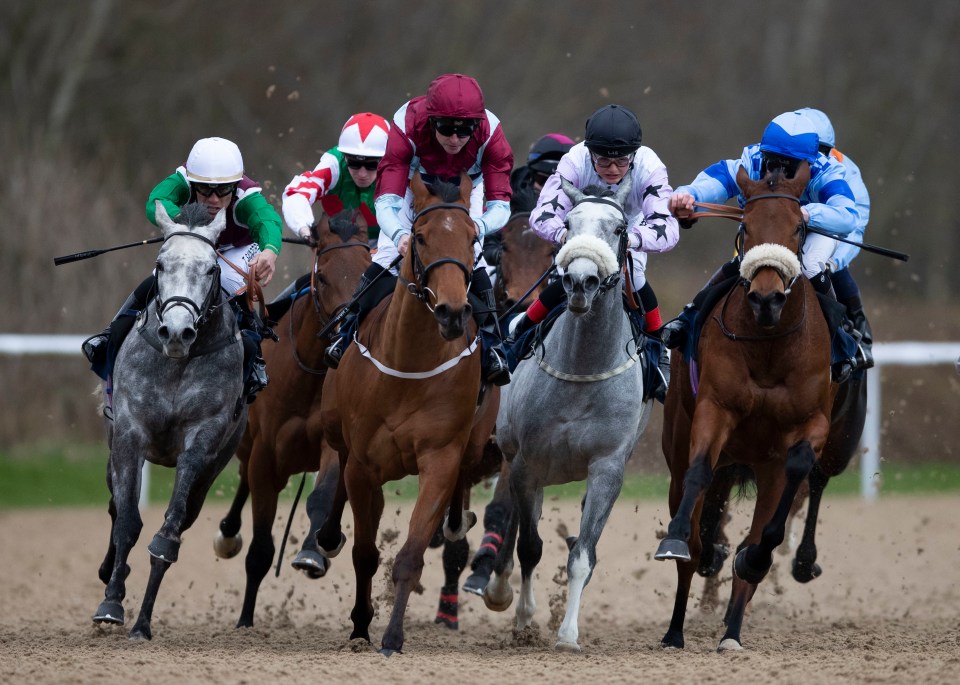Horses and jockeys racing at Wolverhampton Racecourse.