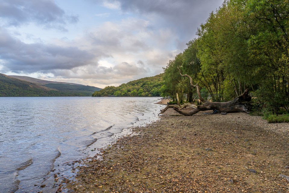 View of Loch Lomond from Firkin Point, Argyll and Bute, Scotland, UK
