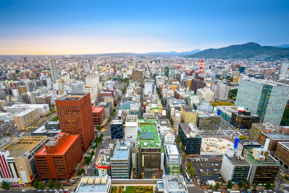 Aerial view of Sapporo, Japan's central ward.