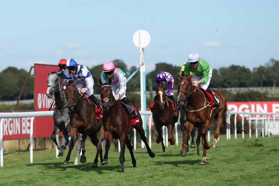 Horses and jockeys racing at Goodwood Racecourse.