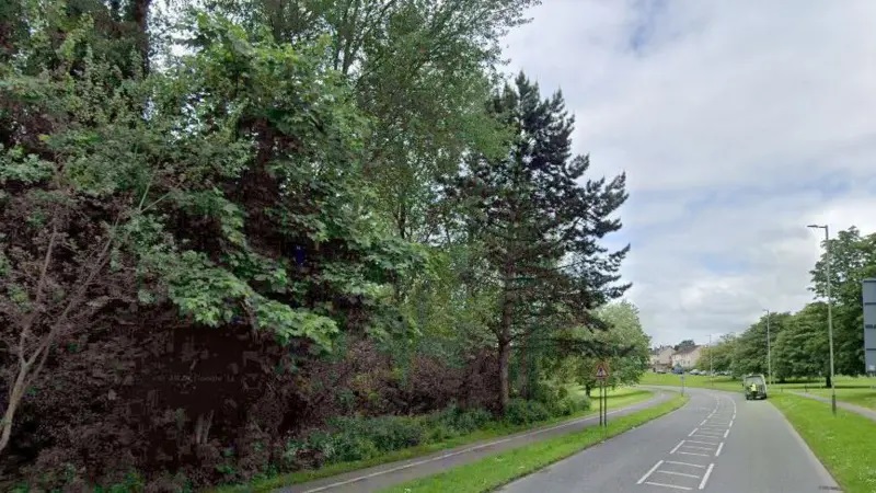 Akers Way in Swindon, Wiltshire, showing a wooded area beside the road.