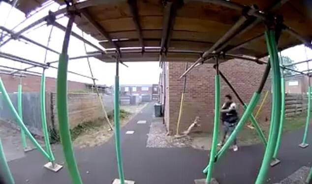 A 'sadistic' teenage yob who 'tortured' a cat by swinging it around using a noose and repeatedly smashing it into a wall has avoided prison