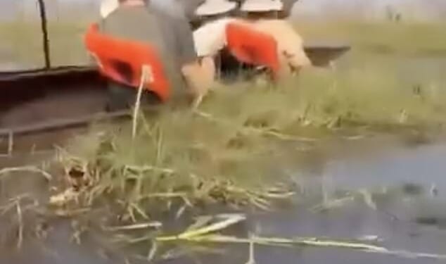 The couple's guide took them too close to a female elephant and her two calves, leading the bull of the herd to charge through the shallow waters and reeds in a fierce attack