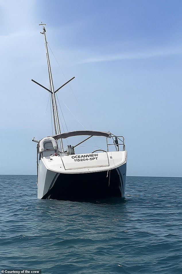 The Oceanview tourist boat sank after being attacked by a pod of orcas on Saturday