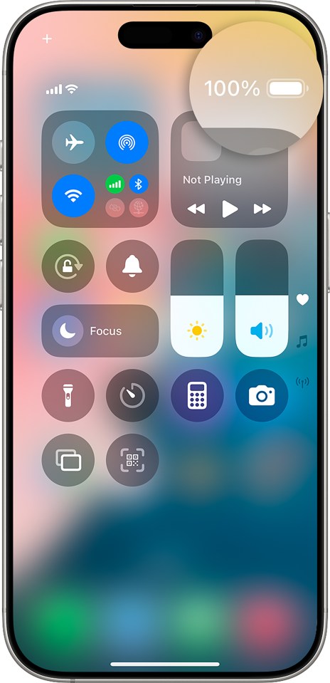 iPhone showing 100% battery.