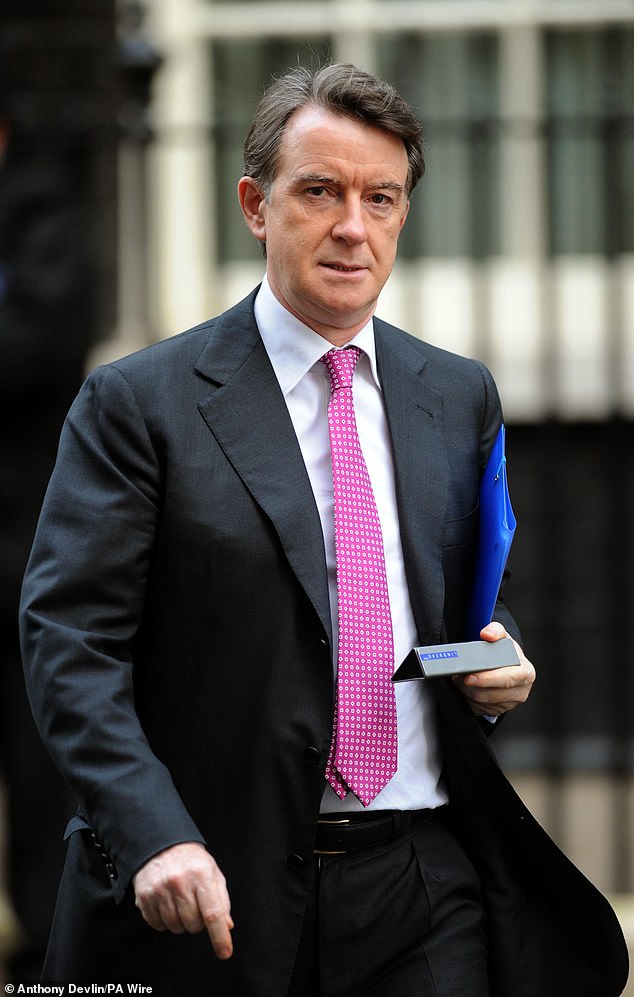 Lord Mandelson (pictured) joined forces with a mysterious ¿Mr Big¿ to fight for child predator Jeffrey Epstein as the FBI closed in, devastating new emails suggest