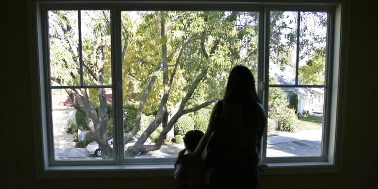 The transformative power of throwing open my shutters