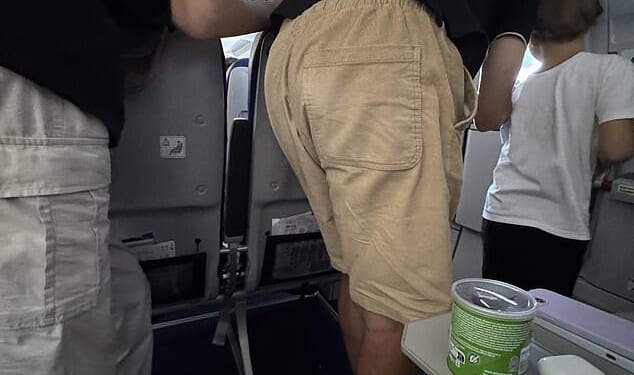 A traveller has vented her frustration over an 'infuriating' problem on a flight after she paid extra money for legroom on a plane. Moments after take-off, a dad and his two kids decided to gather around the emergency door window, which was situated next to the trio