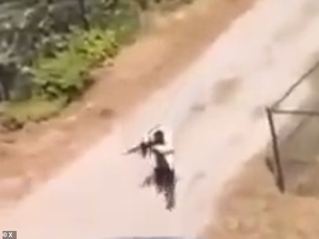 The suspected gunman was seen aiming an apparent rifle at college buildings as the university put students and staff under a shelter-in-place alert