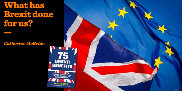What has Brexit done for us? | Catherine McBride