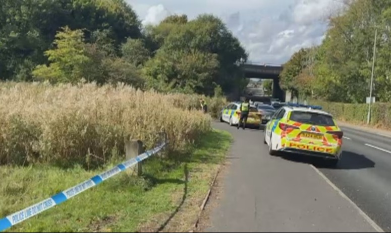 Police cars at a crime scene.