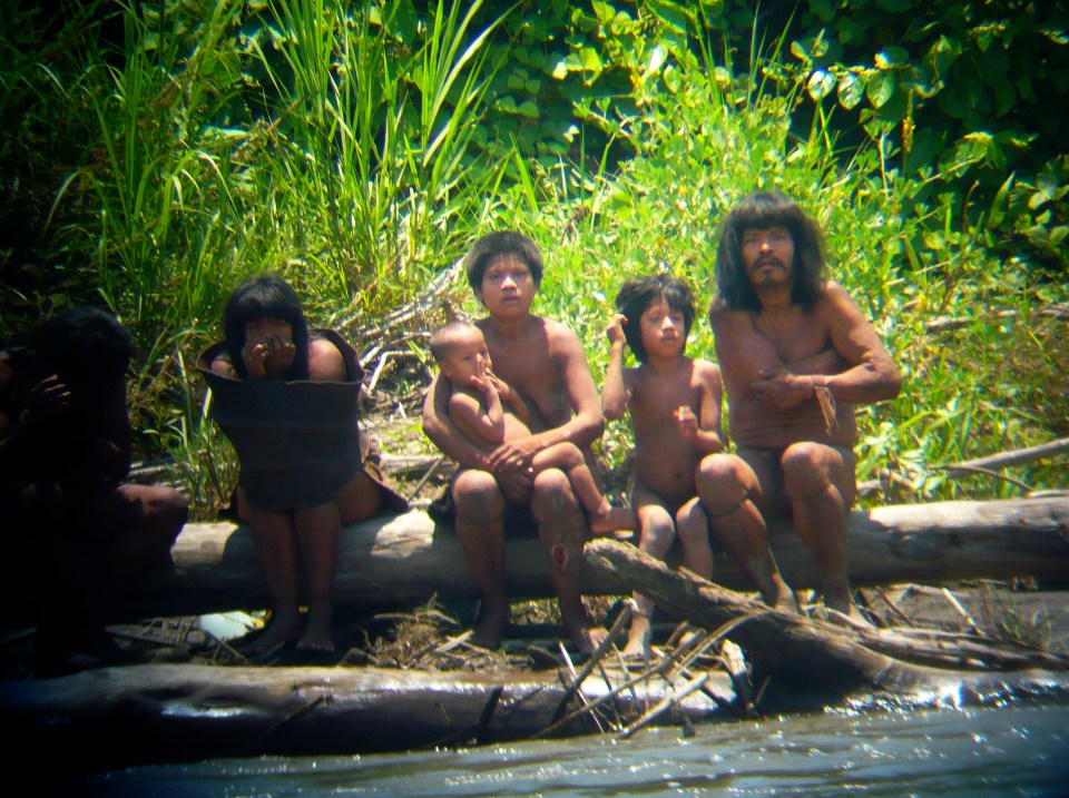 Mashco-Piro tribe members observing travelers from across a river.