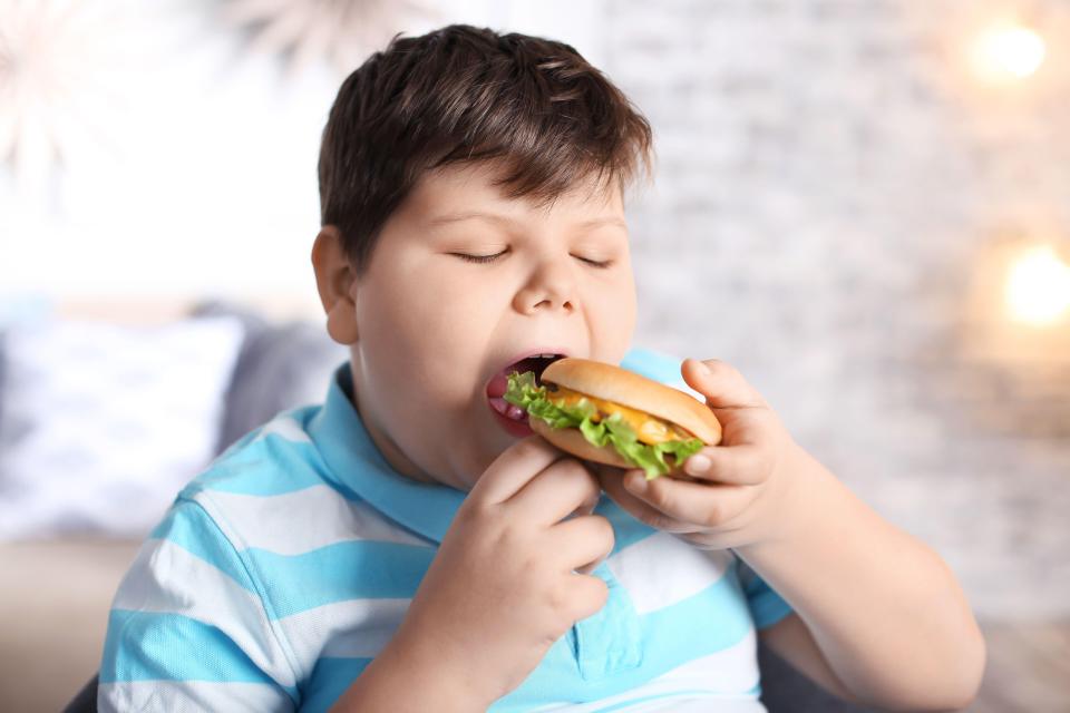 Overweight boy eating a burger.