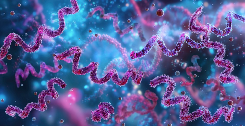 Illustration of Treponema pallidum, the bacterium that causes syphilis, as a purple spiraling form with a textured surface, against a background of blue and pink lights and circular particles.