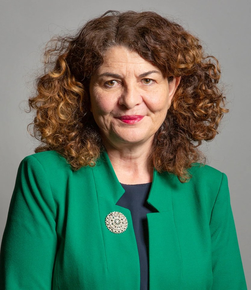 Rt Hon Dame Diana Johnson DBE MP.