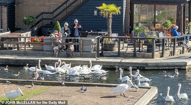 Every year, tourists flock to the area to enjoy the stunning landscapes and wildlife