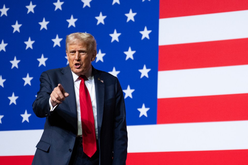 Donald Trump pointing at the viewer in front of an American flag.