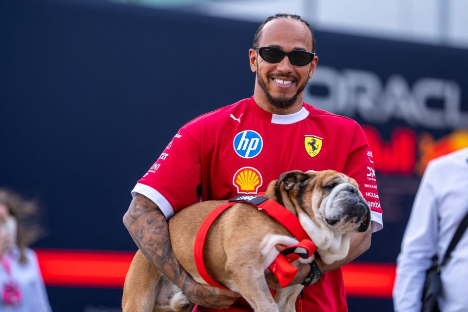 Lewis Hamilton wearing a red Ferrari shirt and sunglasses, holding his bulldog Roscoe.