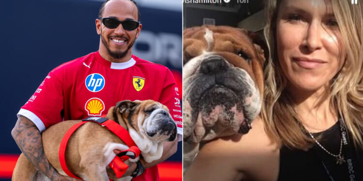 Heartbroken Lewis Hamilton pays emotional tribute to 'amazing friend' who stood with him as beloved dog Roscoe died
