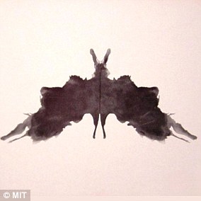 Plate 5 : Lots of people see this as male sex organs at the top of the drawing