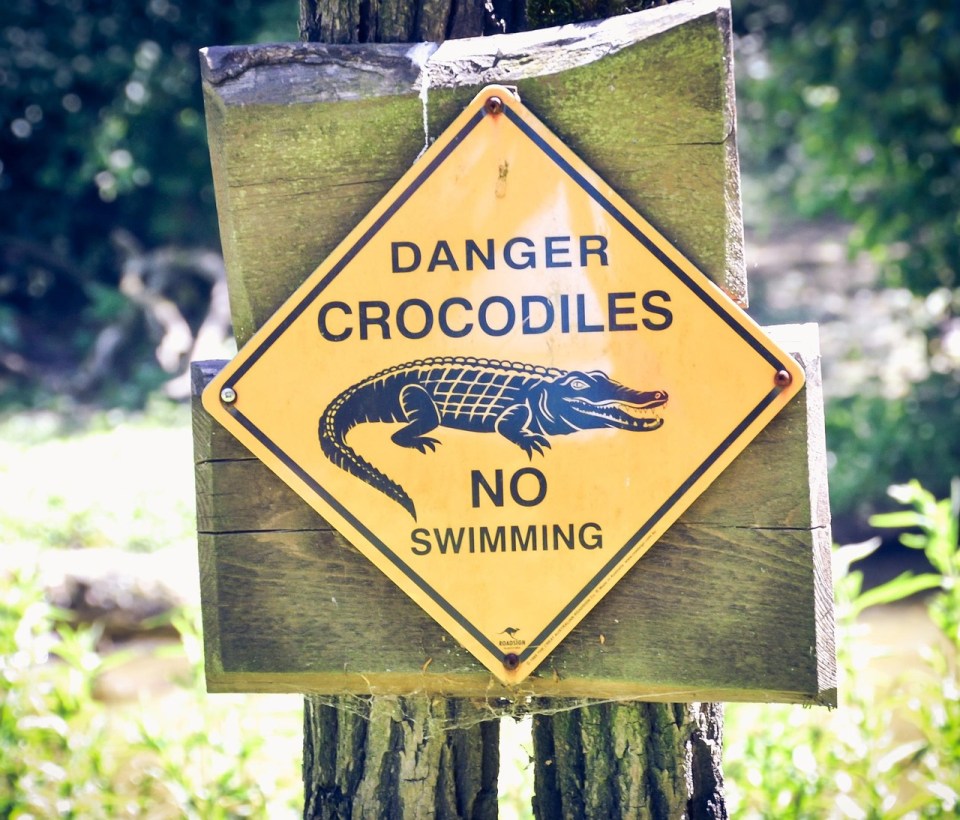 A yellow diamond-shaped sign warning "DANGER CROCODILES NO SWIMMING" with an illustration of a crocodile.