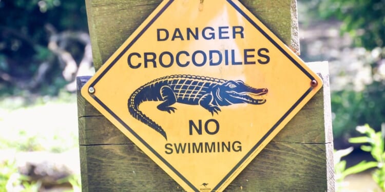 Major update in search for Brit tourist who 'may have been eaten by a crocodile' after 'vanishing' in South Africa