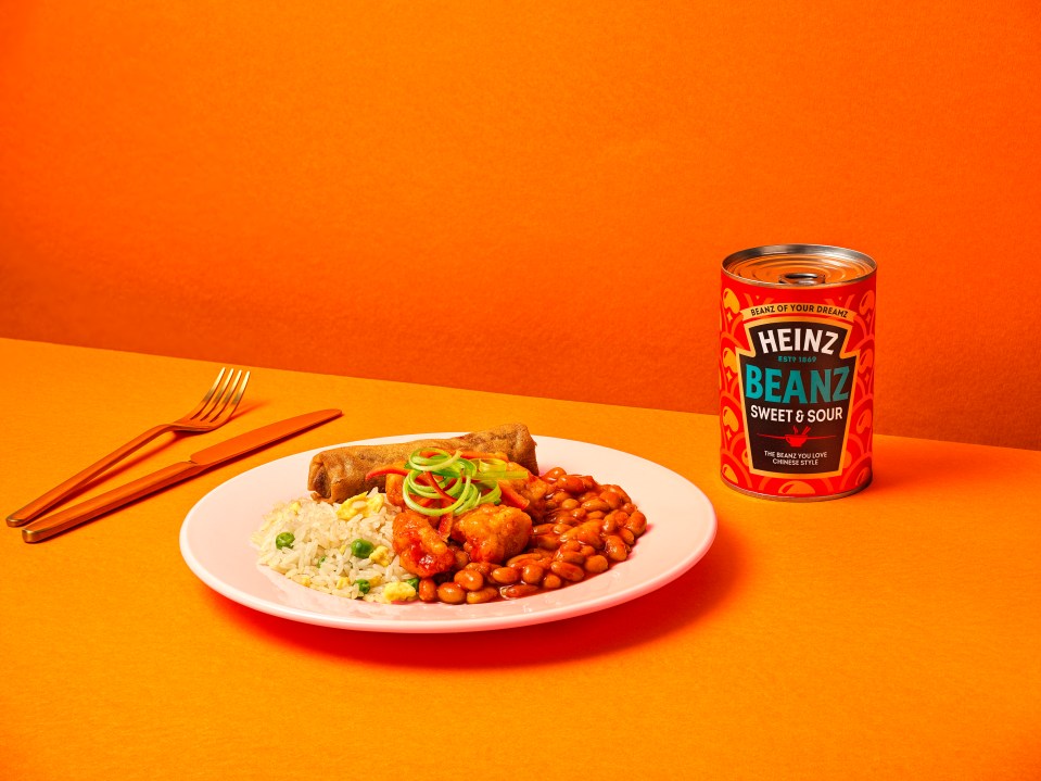 PR IMAGE..Caption - Heinz launches three new Beanz flavours..Pictured - Heinz launches Sweet & Sour Beanz - a Chinese-inspired recipe dreamt up by the public