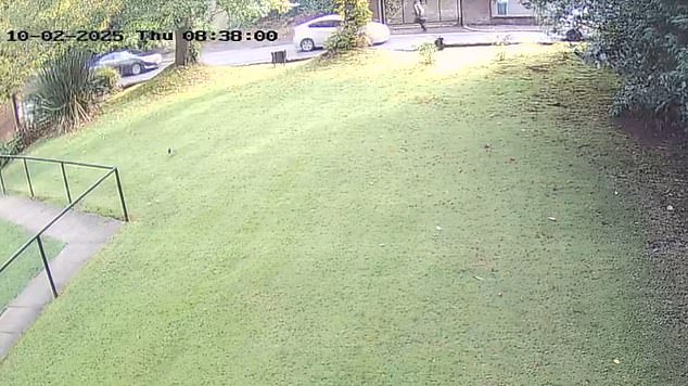 A passer-by flees as panic sets in once Al-Shamie launches his murderous attack on Yom Kippur