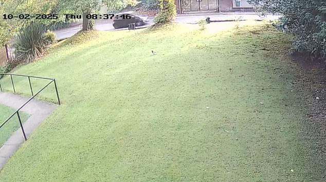 Jihad Al-Shamie's black Kia hatchback drives along Middleton Road in Crumpsall at 9.30am last Thursday morning, seconds before ploughing into Heaton Park Hebrew Congregation Synagogue before launching an attack which left two worshippers dead (time stamp is incorrect)