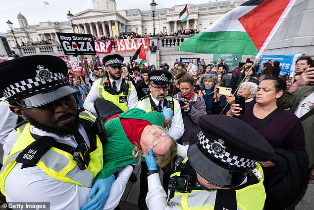 Pictured is a protester in London being carried away by police from a pro-Palestine rally on Saturday