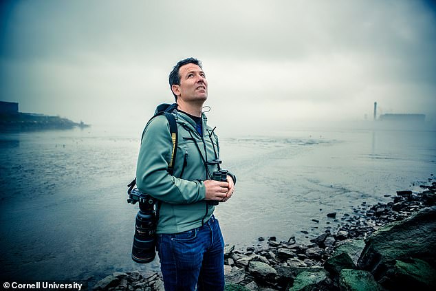 Andrew Farnsworth (pictured) warned that rising temperatures have caused birds to delay their migrations, arriving in areas for winter when their food supplies are not ideal