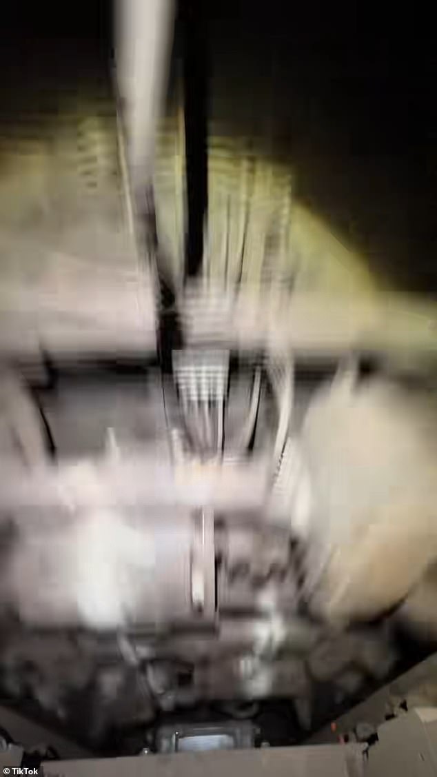 Mukhtarov and Morina were in a group of about 15 teens who were running around the train before later being spotted on the roof