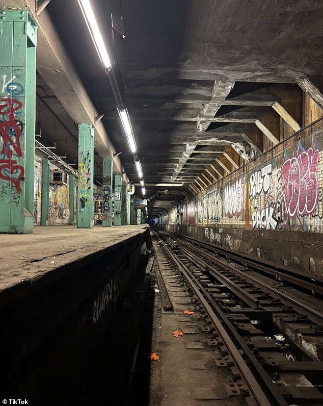 NYPD data showed that more than 415 people had been arrested for subway surfing between January 2023 and April 2025