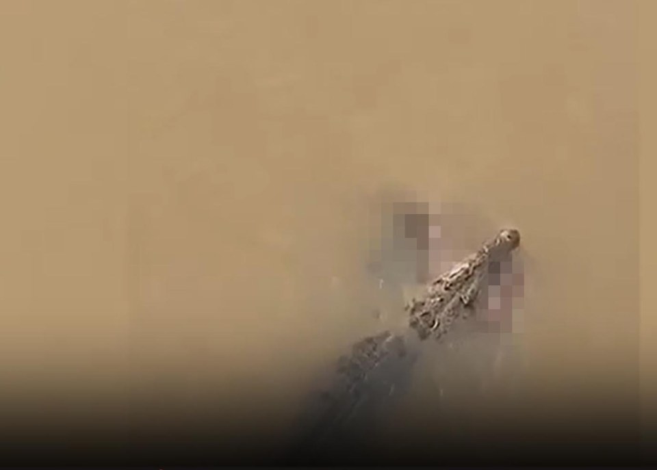 A crocodile with pixelated prey in its mouth in muddy water.