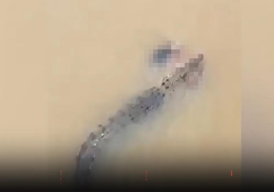 Crocodile swimming in murky water with a pixelated human figure in its mouth.