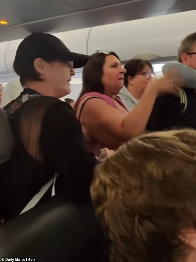 Frustrated passengers (pictured) shouted at the woman as she held them back from getting off the plane