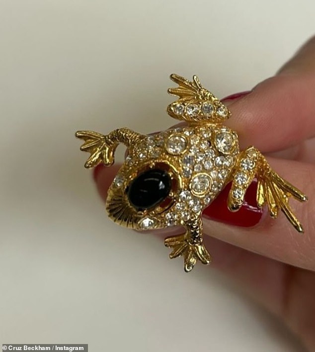 In another strange frog-themed snap he shared a pictured of a gold and diamond encrusted toad