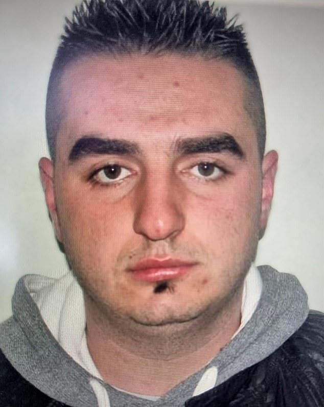 Mikel Hoxha, 33, is still in the UK seven years after arriving in a lorry - five of which he spent as a free man after officials failed to realise he was being hunted for attempted murder