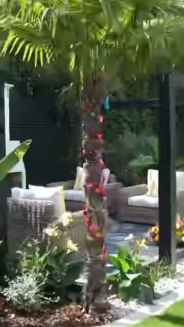 A palm tree wrapped in colorful lights in a garden with outdoor furniture.