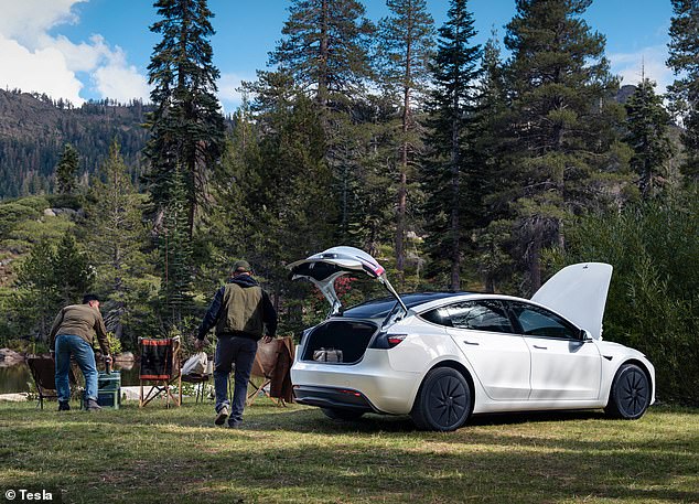 The Model Y and Model S Standard come following years of promises from Elon Musk to debut a cheaper car to appeal to more cost-conscious customers. But as Tesla faces flagging sales, the stock market didn't react positively to the announcement