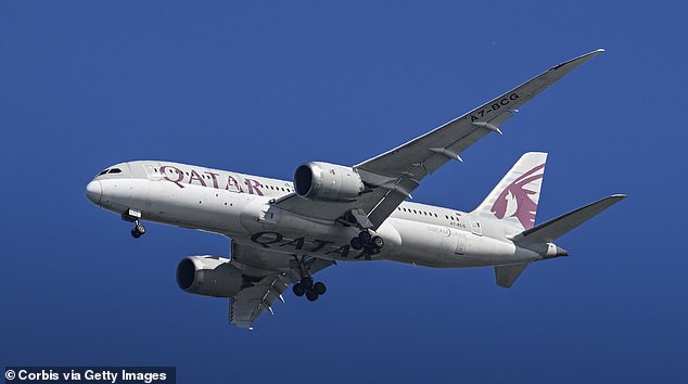 The pilot couldn't make an emergency landing to get Mr Jayaweera to a doctor because the plane was 'traveling over the Arctic Circle/Ocean,' alleges a newly filed wrongful death lawsuit obtained by The Independent (stock image)